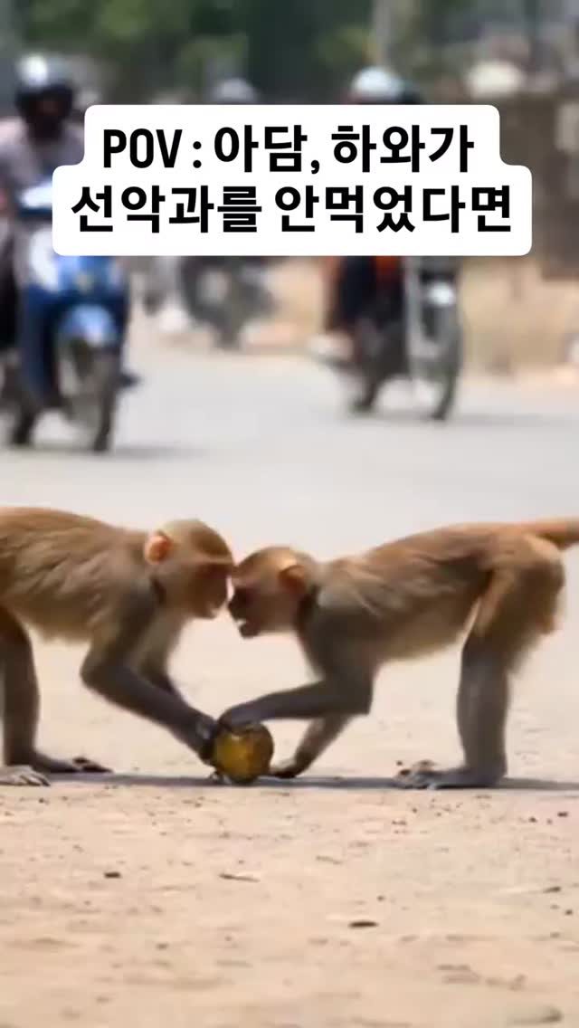 사장님, 죄송합니다...