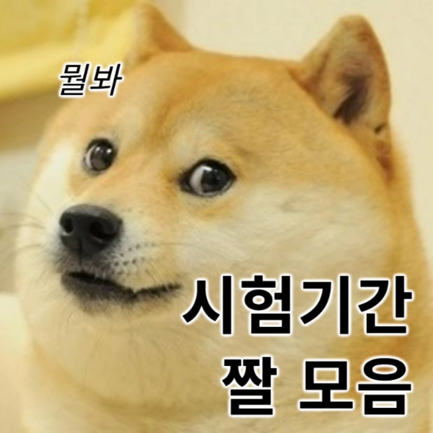 Photo by 서울교대 ECU on April 21, 2026. May be an image of pie and text that says '뭘봐 시험기간 짤모음 짤'.